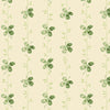 Little Clover 1245.L