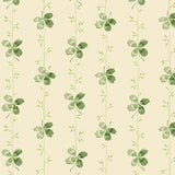 Little Clover 1245.L