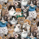 Cats 21002.GRN  **Half Yard**