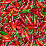 Chili Pepper  576.MLT  **Half Yard**