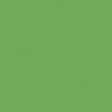 Solid C120.GREEN **Half Yard**