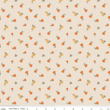 Pumpkin Spice C14993.IVORY