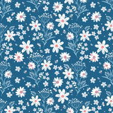 Fireworks Fields C17580.COASTAL  **Half Yard**