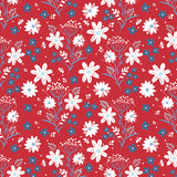 Fireworks Fields C17580.RED  **Half Yard**