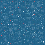 Fireworks Fields C17582.COASTAL  **Half Yard**