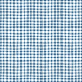 Fireworks Fields C17583.BLUE  **Half Yard**