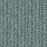 Wool Seeded R041110.BLUE