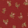 Roses de Noel 0013.002