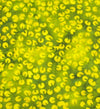 Batik 1618.44