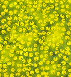 Batik 1618.44