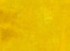 Rhapsodie 17063.GOLDM