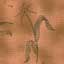 Haunted Hallow 19020.TAN