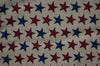 19056.TAN Packed Stars Half Yard