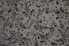 Batik 2043.2