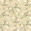 Papillon 8023.20