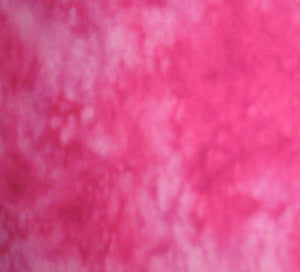 Splash 3504.PI