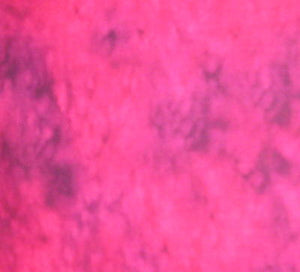 Splash 3504.BEGONIA