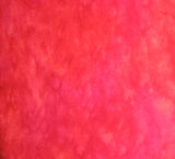Splash 3504.CORAL
