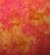 Splash 3504.PEACH