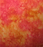 Splash 3504.PEACH