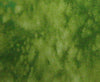 Splash 3504.PISTACHIO