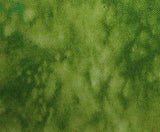 Splash 3504.PISTACHIO