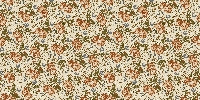 Toast II 4243.LO