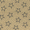 Patriotic Stars Wide Back 49187.TNVY
