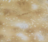 Fossil Fern 528.21
