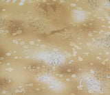 Fossil Fern 528.21