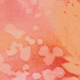 Fossil Fern 528.41