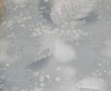 Fossil Fern 528.OU