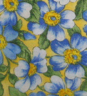 Prairie Flowers 616.F7