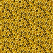 Safari 8168.001