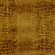 Safari 8170.002