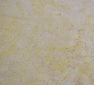 Island Batik 8831.P