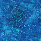 Make A Splash AMD1993759  Half Yard
