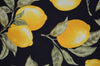 C2321 Fruit