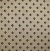 Civil War Backgrounds F348.31