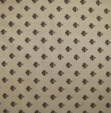 Civil War Backgrounds F348.31